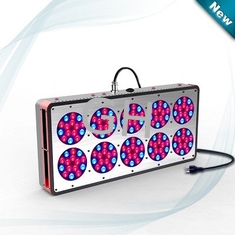 China Grow LED light high power with full spectrum 350W in horticulture supplier