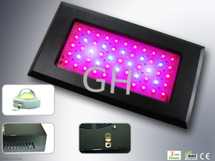 China 55 * 3W LED Growing Lights Metal Housing 4000Lm Greenhouse Agriculture Lighting supplier