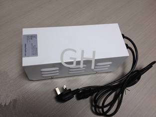 China Super Power 250W Switchable Ballast HID Magnetic Ballast For 250 Watt HPS / MH Bulbs supplier