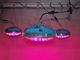 New UFO LED Grow Lights with cheap price supplier