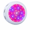 Double Chips 300W UFO LED Grow Light 380-730nm Full Spectrum LED Plant Grow Lights Inddor Plants Flowering and Growing supplier